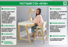 Комплект растущий стол и стул 38 попугаев «Вуди» (Серый, Без покрытия) в Березниках - berezniki.mebel-74.com | фото