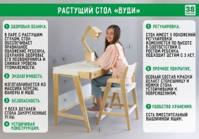 Комплект растущий стол и стул с чехлом 38 попугаев «Вуди» (Белый, Белый, Салют) в Березниках - berezniki.mebel-74.com | фото