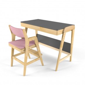 Комплект растущий стол и стул с чехлом 38 попугаев «Вуди» (Серый, Береза, Розовый) в Березниках - berezniki.mebel-74.com | фото
