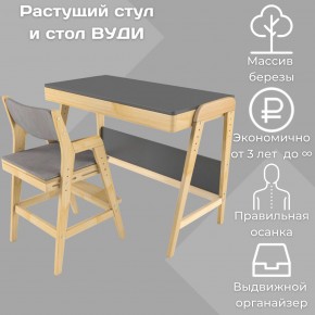 Комплект растущий стол и стул с чехлом 38 попугаев «Вуди» (Серый, Без покрытия, Серый) в Березниках - berezniki.mebel-74.com | фото