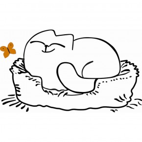 Кровать двухуровневая Кот № 900.1 ЛЕВАЯ (туя светлая/белый) в Березниках - berezniki.mebel-74.com | фото
