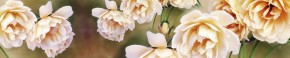 Кухонный фартук Цветы 066 МДФ матовый (3000) Flowers в Березниках - berezniki.mebel-74.com | фото