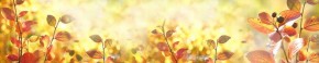 Кухонный фартук Цветы 318 МДФ матовый (3000) Flowers в Березниках - berezniki.mebel-74.com | фото