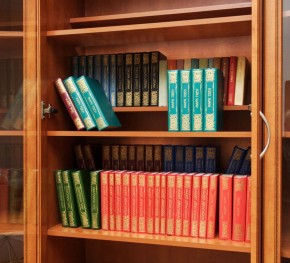 Шкаф для книг арт. 200 в Березниках - berezniki.mebel-74.com | фото