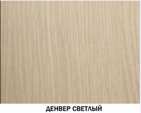 Шкаф для одежды №609 "Инна" Денвер светлый (*без полок) в Березниках - berezniki.mebel-74.com | фото