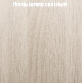 Шкаф-купе «ТАНДЕМ» 3-х дверный в алюминиевом профиле (Дверь К+К+К) 2100/h2200 в Березниках - berezniki.mebel-74.com | фото