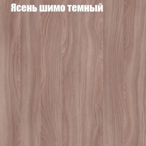 Шкаф-купе «ТАНДЕМ» 3-х дверный в алюминиевом профиле (Дверь К+К+К) 2400/h2200 в Березниках - berezniki.mebel-74.com | фото