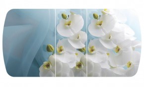 Стол Бостон-3 (Белая Орхидея) 1100/1420*700, опора Брифинг в Березниках - berezniki.mebel-74.com | фото