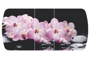 Стол Бостон-3 (Розовая Орхидея) 1100/1420*700, опора Брифинг в Березниках - berezniki.mebel-74.com | фото