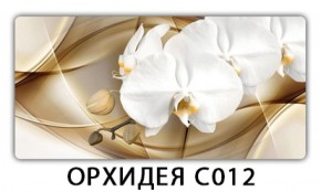 Стол раздвижной Трилогия с фотопечатью Орхидея C012 в Березниках - berezniki.mebel-74.com | фото